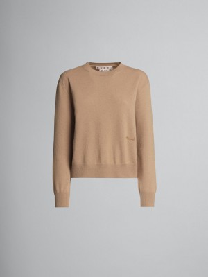 Marni Logo Cashmere Crewneck Tröja Beige | SEICD62127